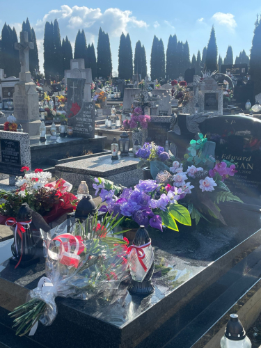 487712797_964655119153530_3852754386748086653_n